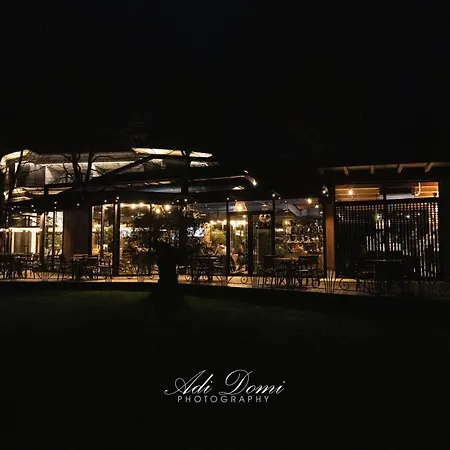 Ajman Park & * Shijak